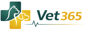 vet365.ro